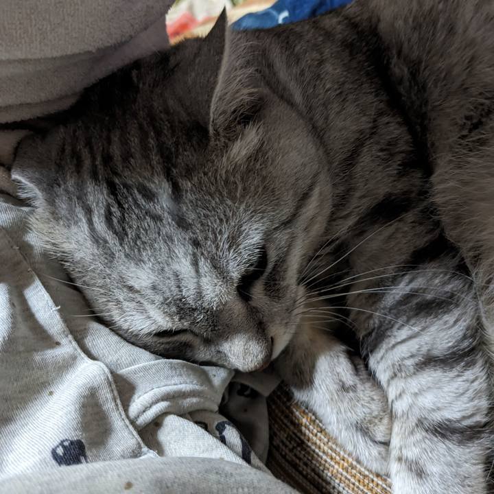 Fa25bdcd 8234 46aa 9888 9a5b4db94889 1694619198020