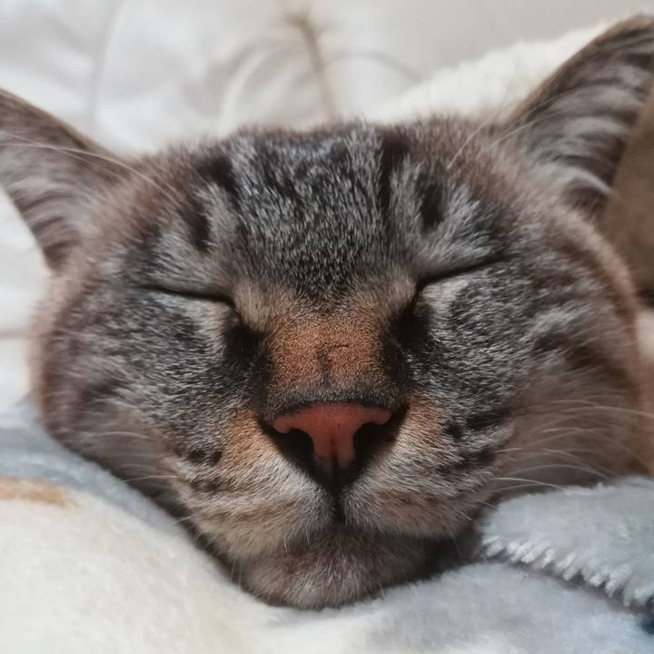 Fa25ebbc 5050 46e2 9524 d182802b3e62 1605271526072