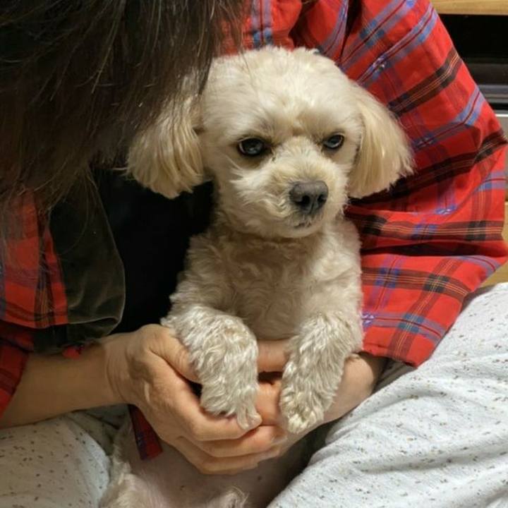 Fa25ebe8 6cff 47a4 88f0 49ee0939517b 1578147944409