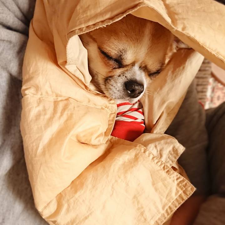 Fa26062c 1d18 4d63 9aca f3f3bf77538f 1578298498484