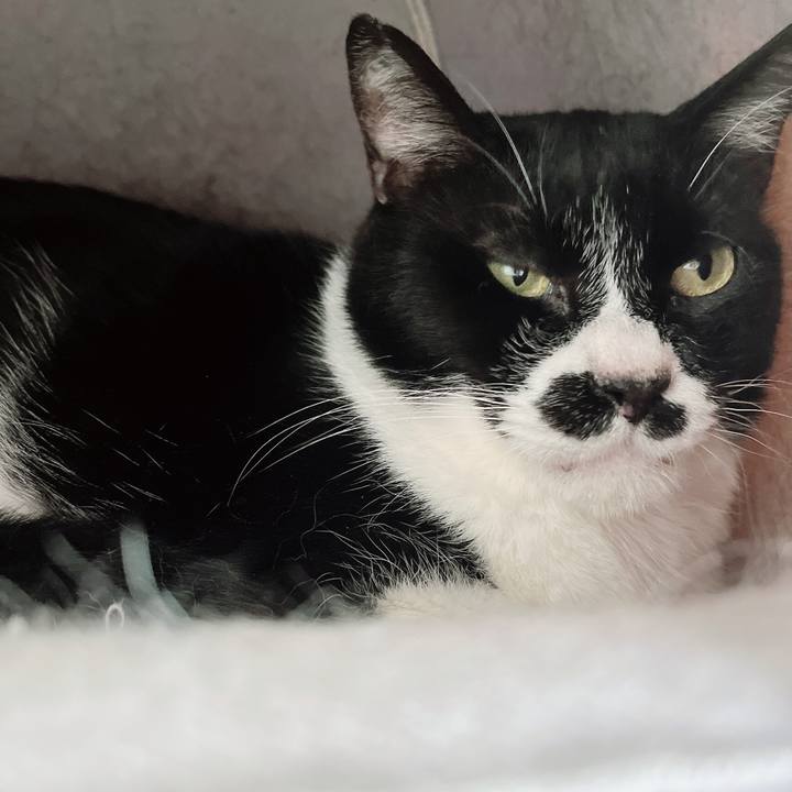 Fa262420 e189 433d aa04 c6a93b4970a8 1676116317171