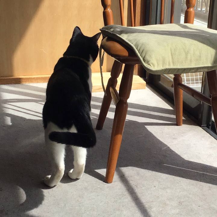 Fa263dee 5fe2 4571 9d15 9c4db6dfa5a7 1648622847690