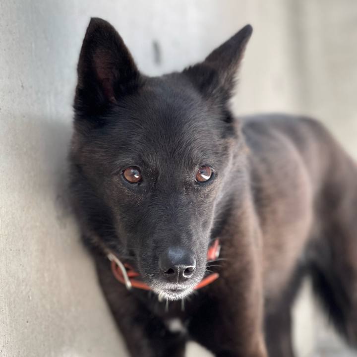 Fa2644d3 530b 4c20 b42c bd61ce749478 1657169327083