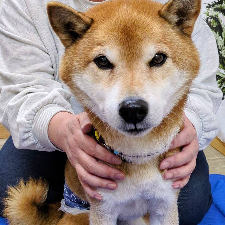 Fa264c36 617b 405e b70b 3823c09a6af4 1766116807394