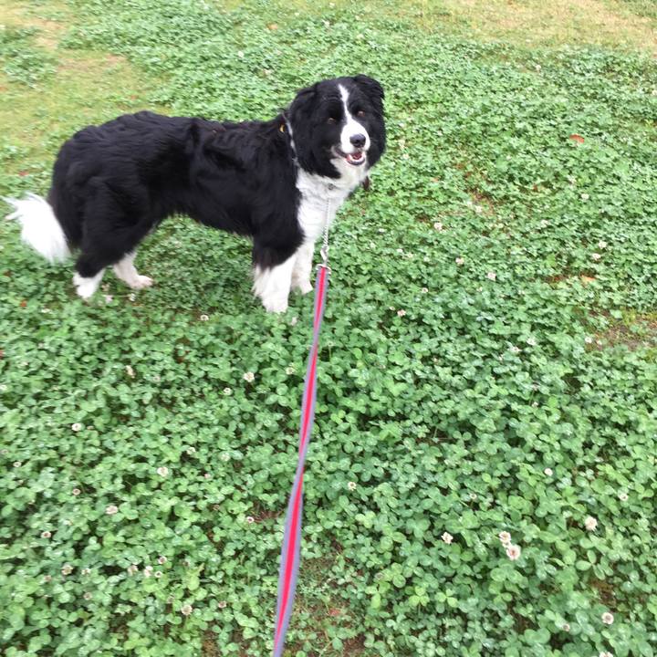 Fa267193 ae82 41bf b5a4 2c08ab8e78ed 1556065603105