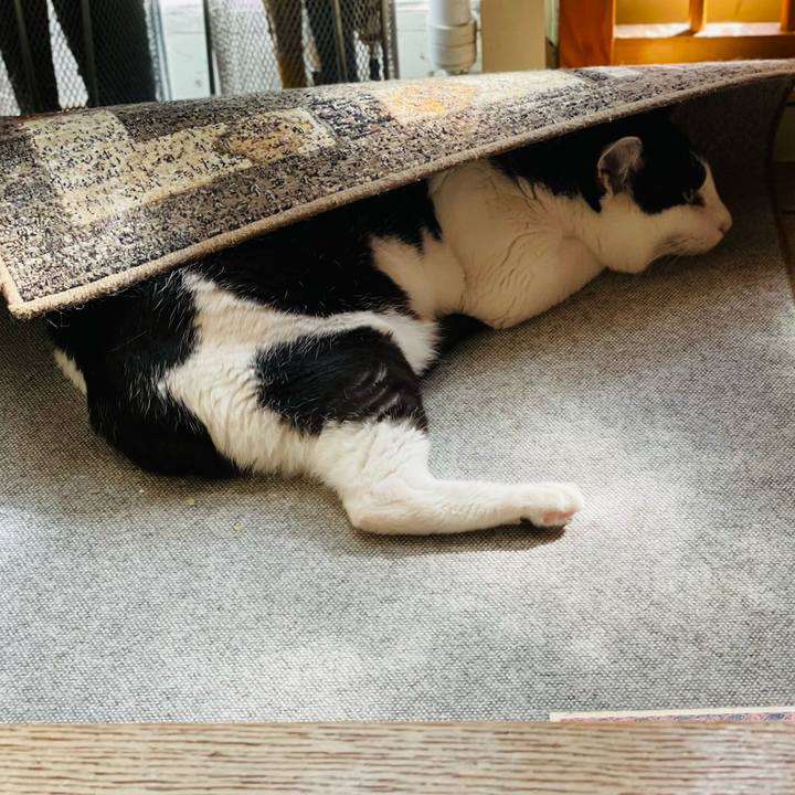 Fa268f11 f2f0 4ed4 be88 d993ac6538f9 1664155754656