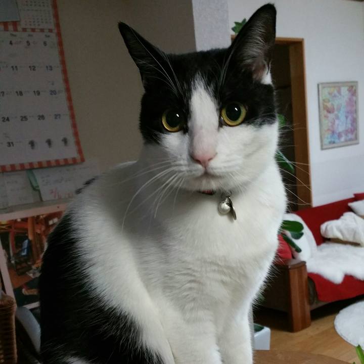 Fa268f3a 9508 4e05 9dd3 b88dbe11da5c 1515625779173