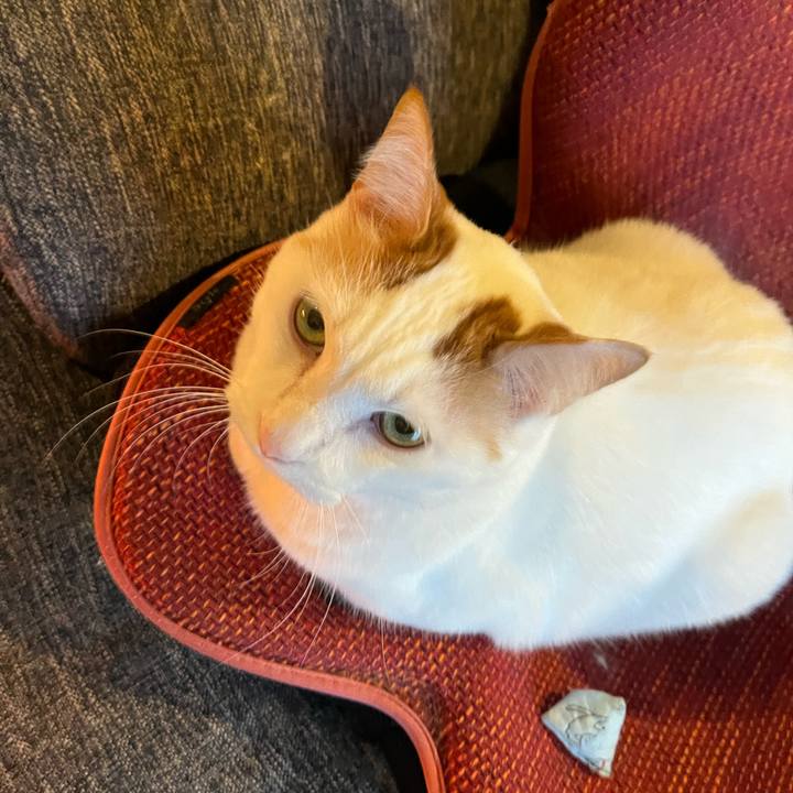 Fa269c98 78ed 40ed a515 1378d9400b51 1763589049617