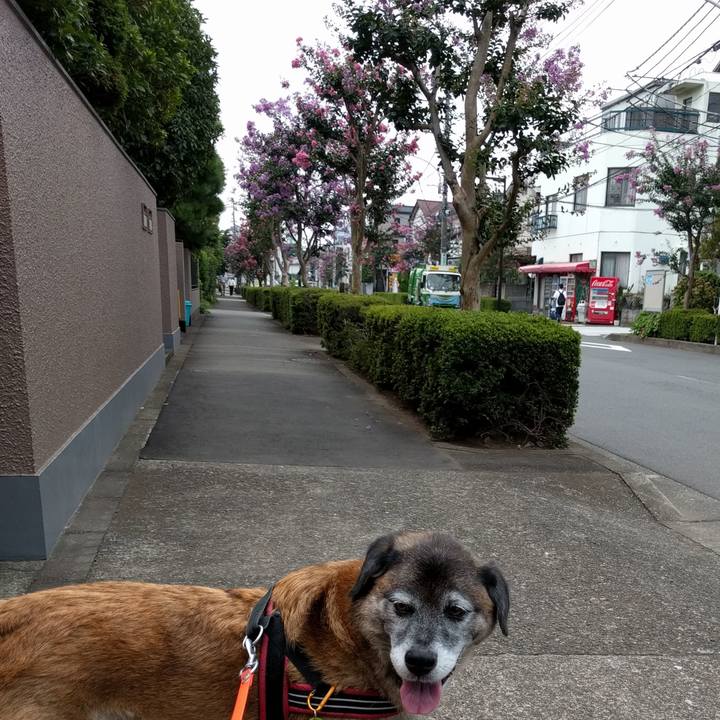 Fa26b96f 5d12 457c ab16 a9f1d7eacaa4 1534829234646