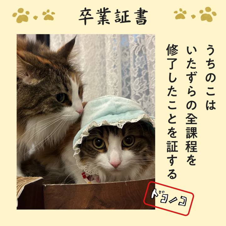 Fa26cab9 bb37 42af a75b 8d90925ecf89 1772149695829