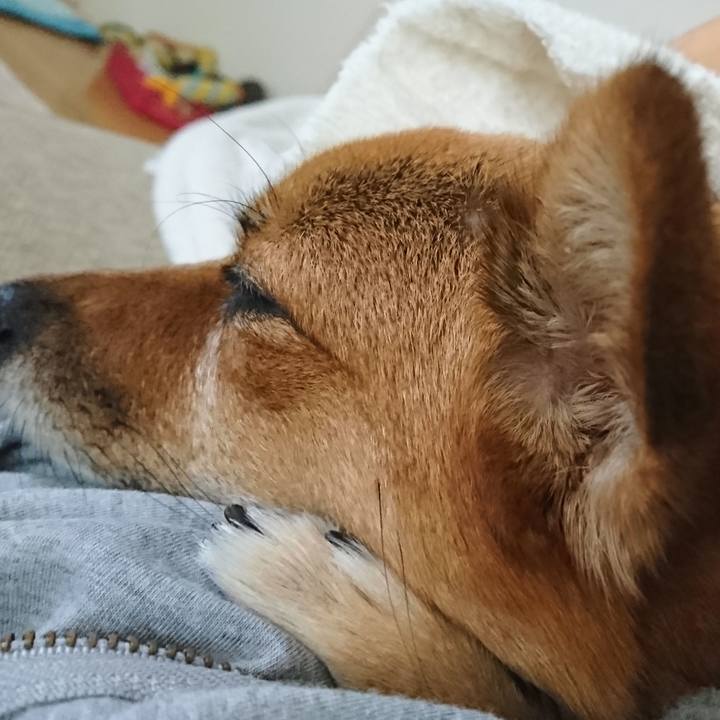 Fa26d0e4 3242 4b85 a8bd c5dbb874db2b 1539478115412