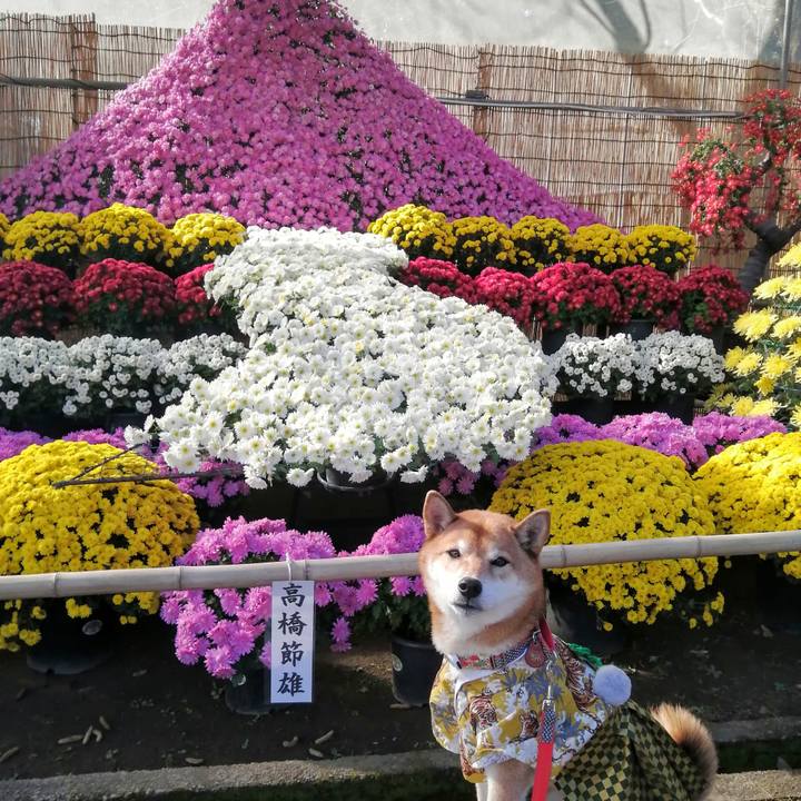 Fa270b3e 5dfa 4d3d 98a6 40d4cd710f5a 1636898748354