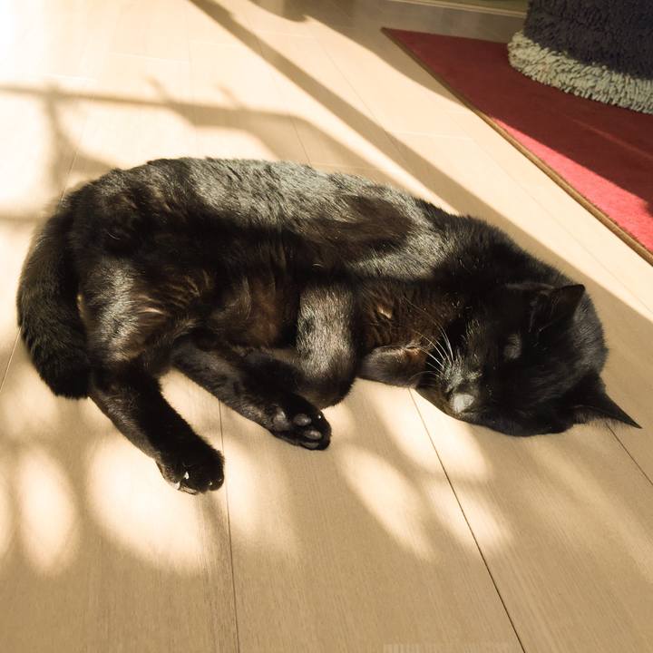 Fa2764f6 a129 4c96 817d c98beade0ebf 1523172787207