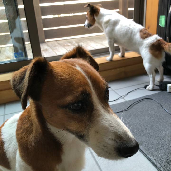 Fa27665b fc6a 4123 810b 4776edbb243b 1526700898928