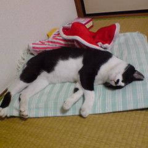 Fa278177 b15e 49ee 8732 57b1bf39a9ce 1547783425557