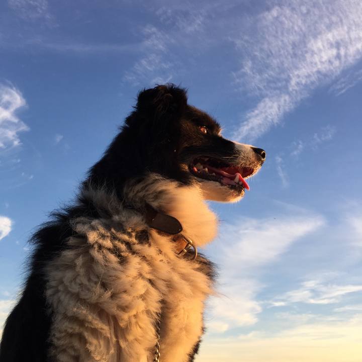 Fa27a6a8 ddc9 4f5d 8211 51be77fc468f 1534109487755