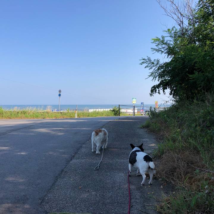 Fa27c560 64f7 4f47 af2a eeec9bae4808 1566085294602