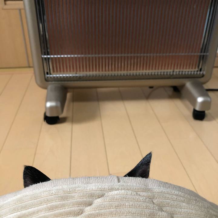 Fa27dc64 043f 4665 87fe 311a8c7842b9 1610656825179