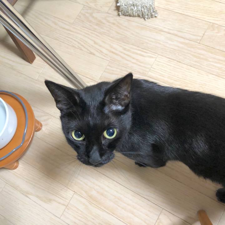 Fa282d9e ce22 47be b269 84690c31bea3 1595426525859