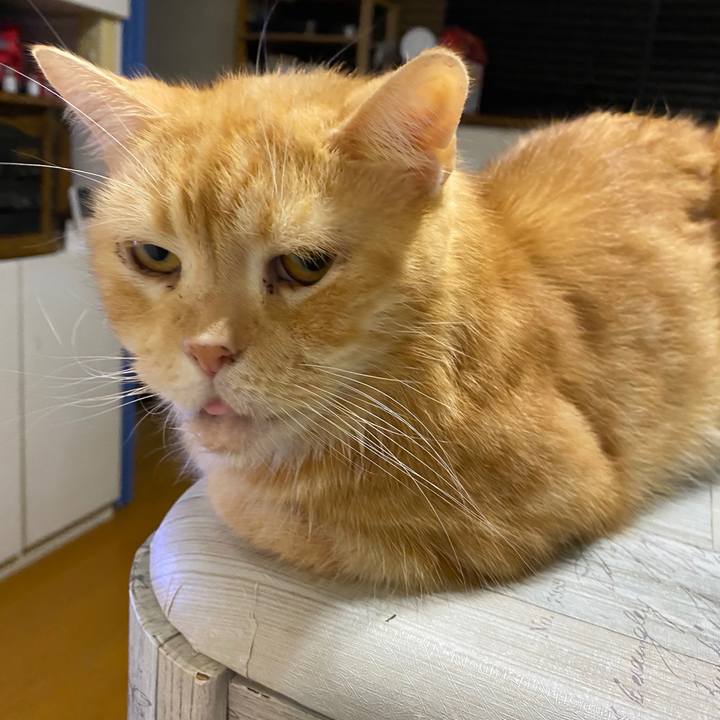 Fa283066 c837 487a 9048 22d8581e9010 1601819180064