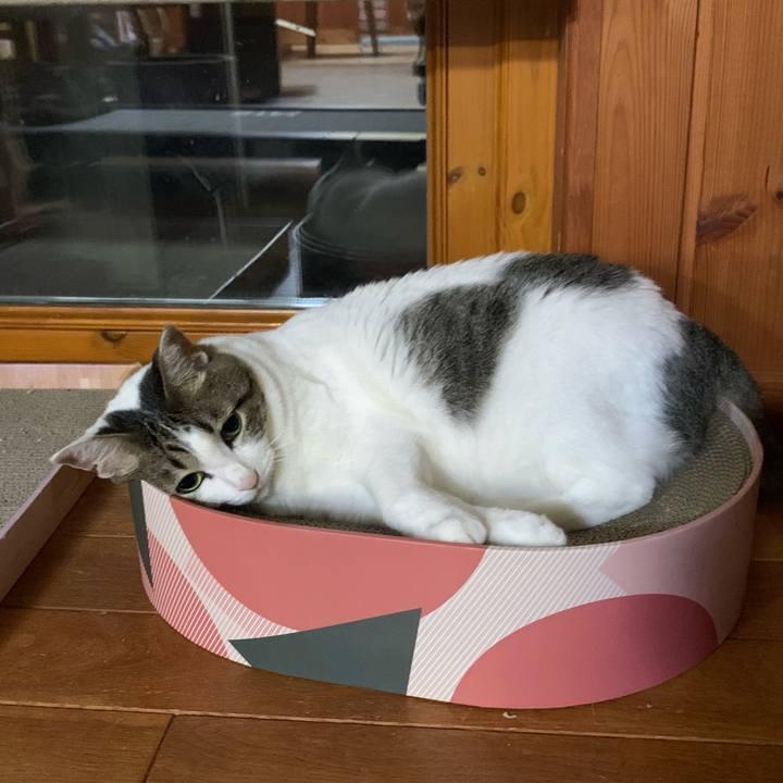 Fa283d8d 80d7 48b7 b6f0 f5e5ba1165a6 1624362633422