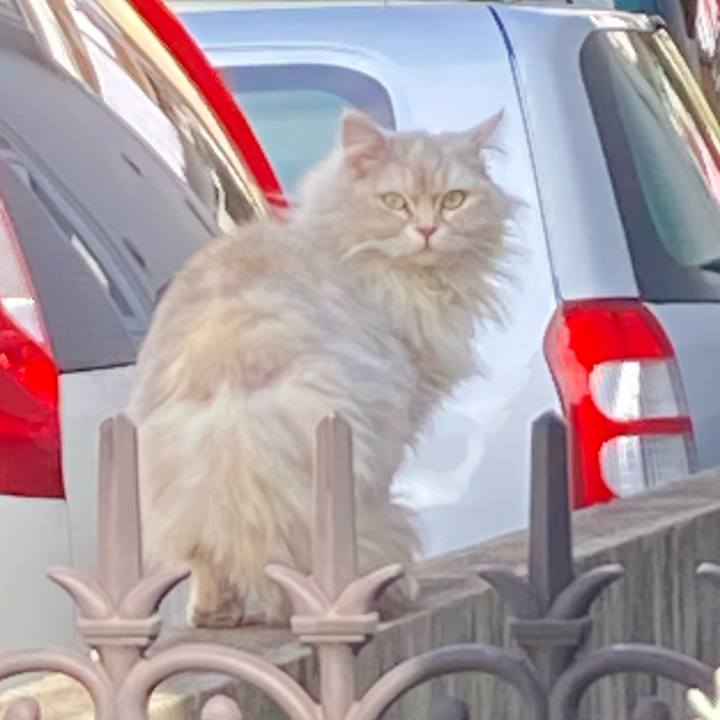 Fa28510d c7af 4d25 b6ab 3a0ab4e5b8c1 1643078736297