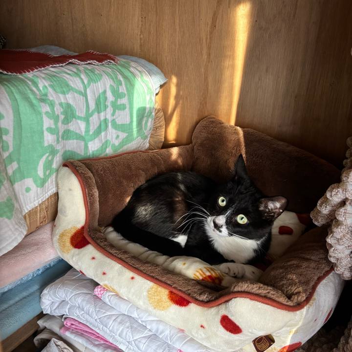 Fa287879 c938 417c 83d3 ed9914ea76d1 1768548614024