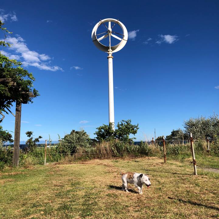 Fa2894ca 042f 469f 8017 8ece6e6a8503 1599086734429