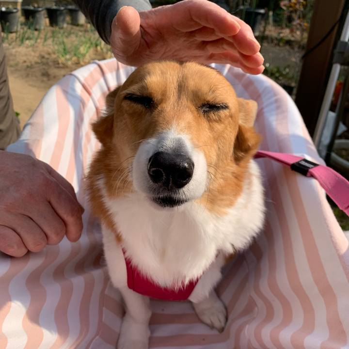 Fa28ddd3 c80e 4933 95f9 412d2885c8a7 1678344158062