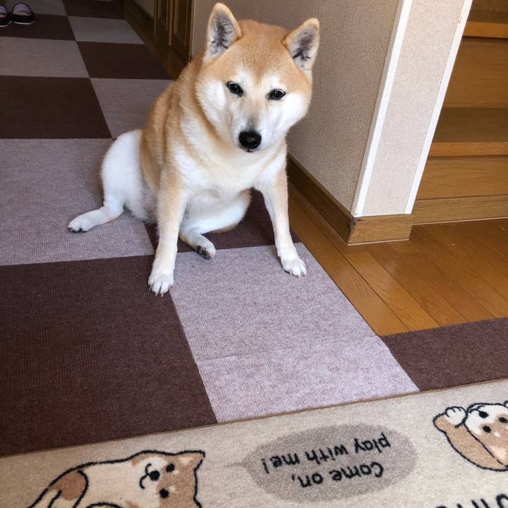 Fa28e650 755f 44ae b98f c2b62f8a102b 1588372799066