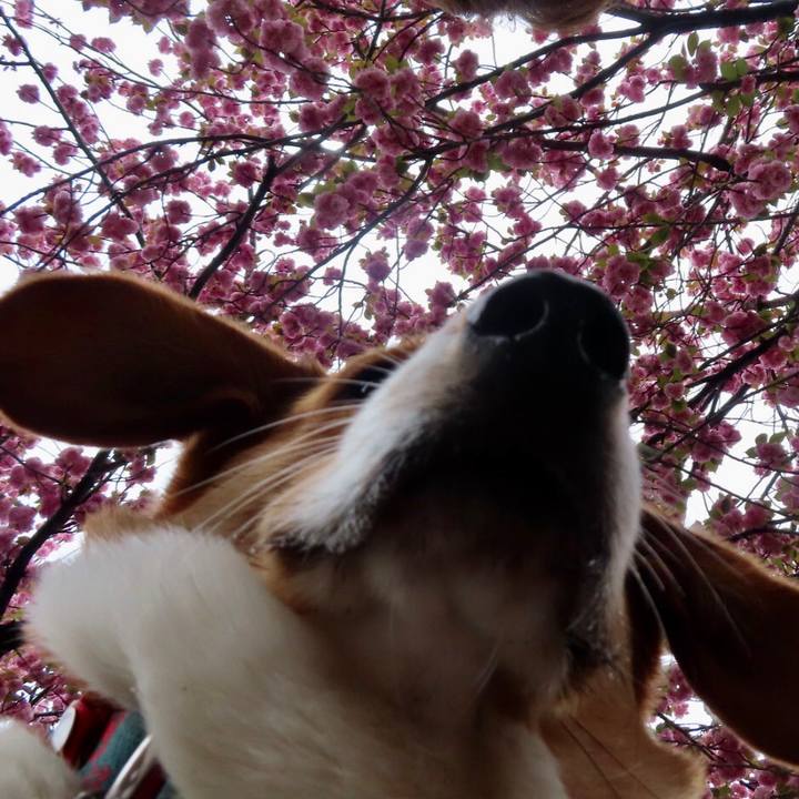 Fa29213f 32f0 4fc6 9358 0ccf83828d79 1650456870889