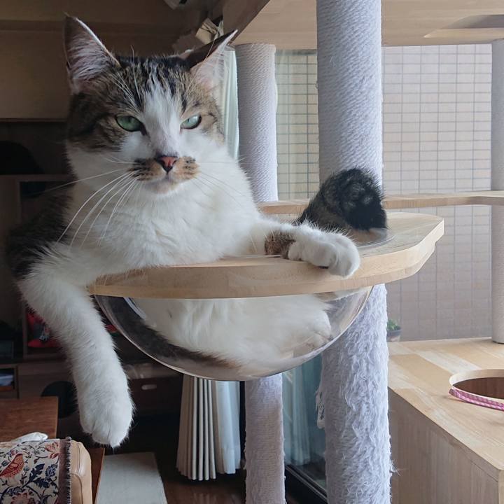 Fa293e97 b8ba 456d 988a 247e4e116008 1687598625760