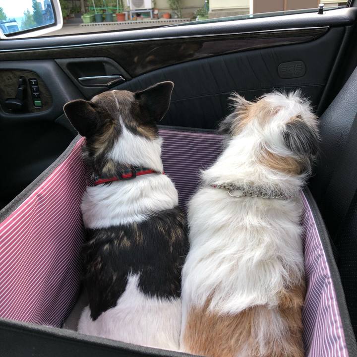 Fa295aee aa1c 4d2a aa49 05ec83531177 1571301648094