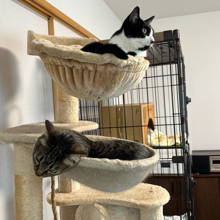 Fa2981f8 0b31 456c 9715 d6dd8e54bb13 1772938629860