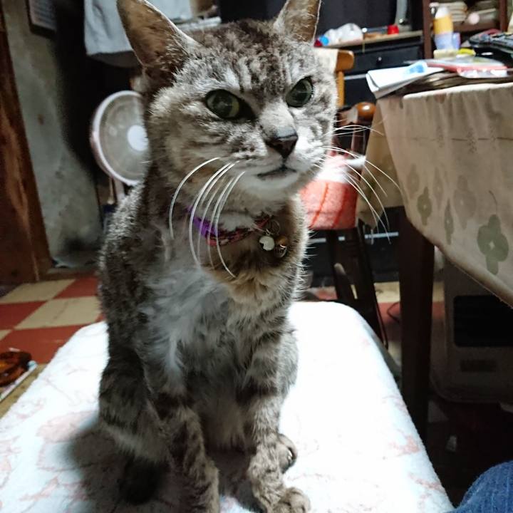 Fa29c15c d5bb 4b94 b484 ddb0e6f9c630 1592940181772