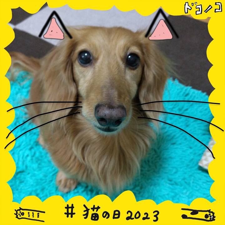 Fa29c916 818d 4dea ae22 2969d8c51bee 1677059958764