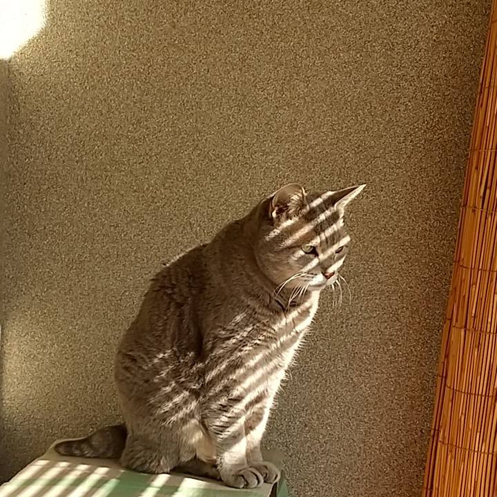 Fa29df32 67d8 4d71 82f5 e4d02fe9a89c 1675574597305