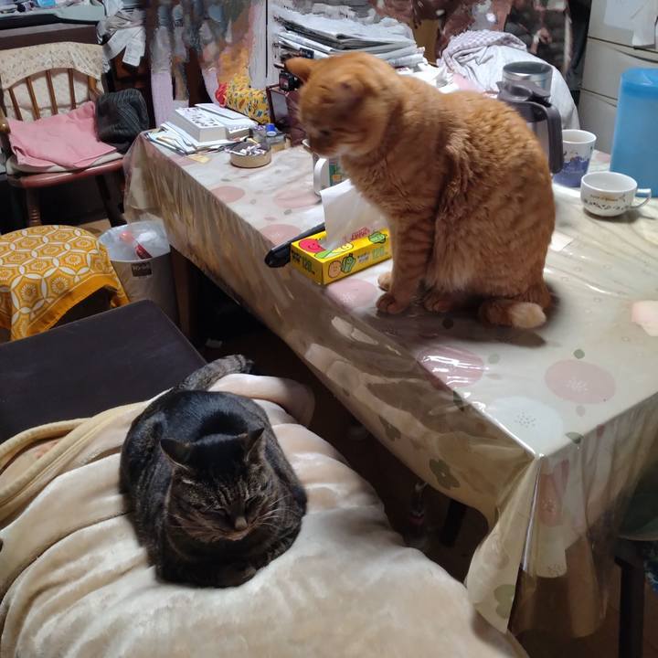 Fa29fa08 20b6 416c b41c d5327efd7034 1705039358099