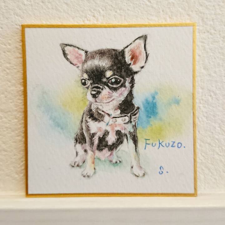 Fa2a06a9 8c8d 4d25 b343 3db5596b19d1 1585640124568