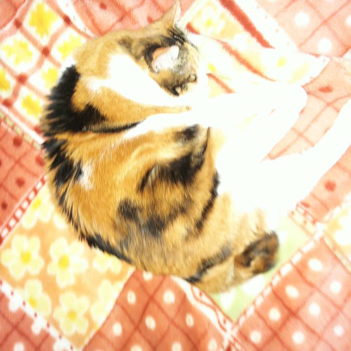 Fa2a0ccd 1fd3 4031 89a9 fffa7eaf6d44 1526134824676