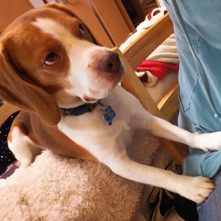 Fa2a1d94 8bdb 4a87 bf1a 581e896079dd 1562381317046