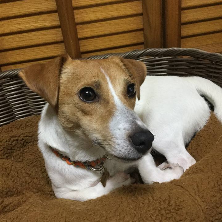 Fa2a5ac7 21b8 4a57 8567 2ac72c0b155d 1508632351735