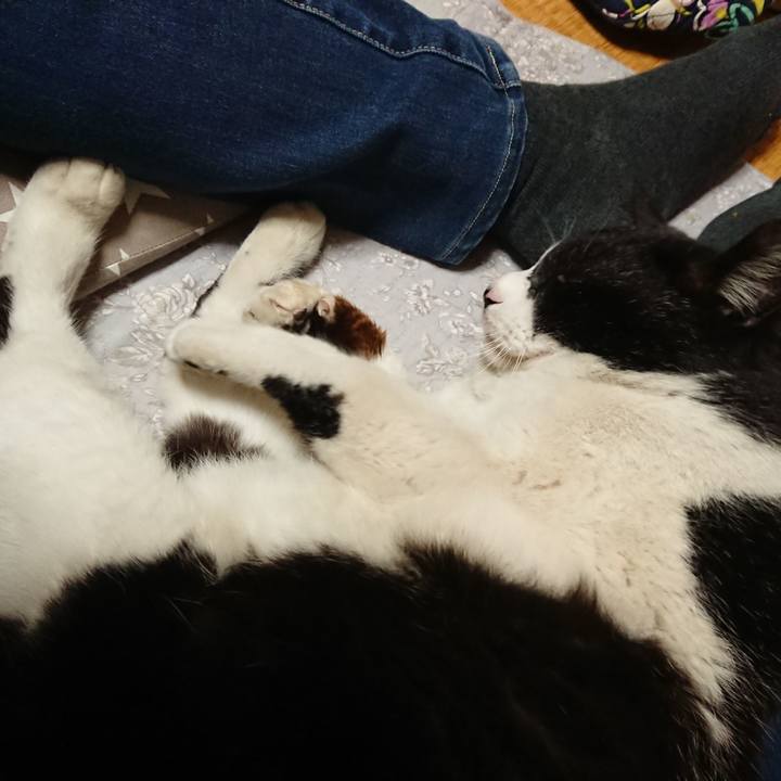 Fa2a5bc9 b3ad 48cc a89b 20b9d760557e 1648733043617