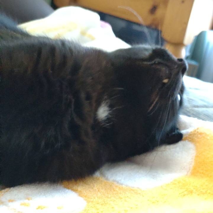 Fa2a74a3 d94c 4da3 8dfb cb4f37536e52 1666995520208