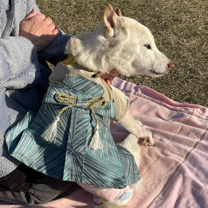 Fa2a9a1b 6519 4aba 8746 f4a74843c5f6 1677841884734