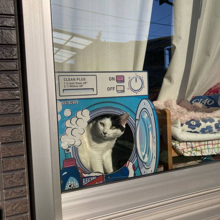 Fa2aa97d 9db2 44e0 994c 3cfc4571325e 1768540481397