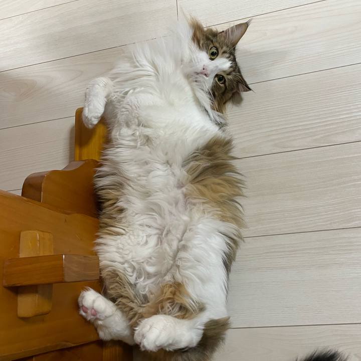 Fa2ab4c6 11fb 41e3 ab65 b2d3db3b8dd8 1670968485517