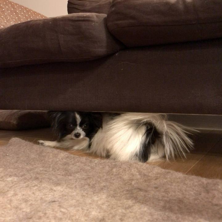 Fa2ac21d a8d7 4eb7 86d9 79a94525401f 1517136557371