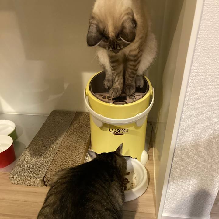 Fa2ad992 4600 497a 9ea1 e7c5cc99bb3c 1630497517065