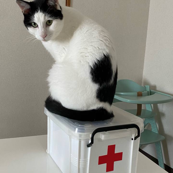 Fa2b0ec5 11c0 402d 9f76 2462cfd01399 1628733298875